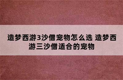 造梦西游3沙僧宠物怎么选 造梦西游三沙僧适合的宠物